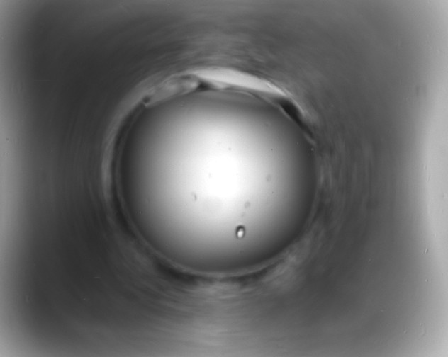 X0000088130340200706041323