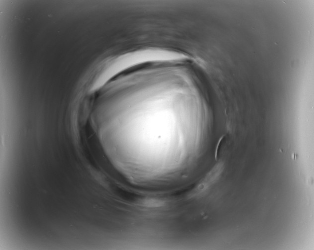 X0000088130341200706041323