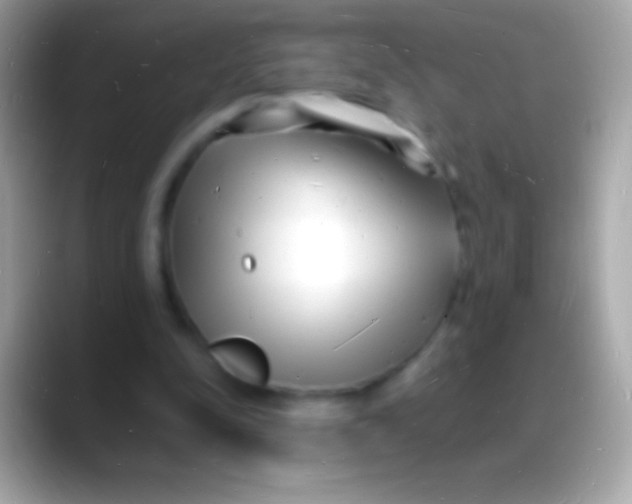 X0000088130342200706041323