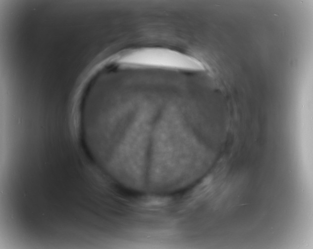 X0000088130343200706041323