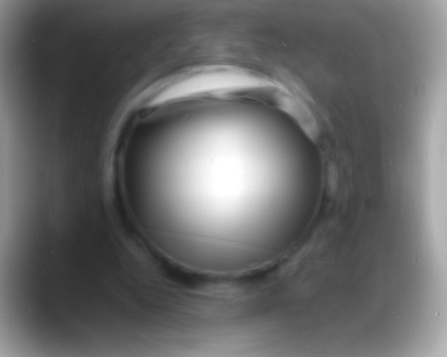 X0000088130344200706041323