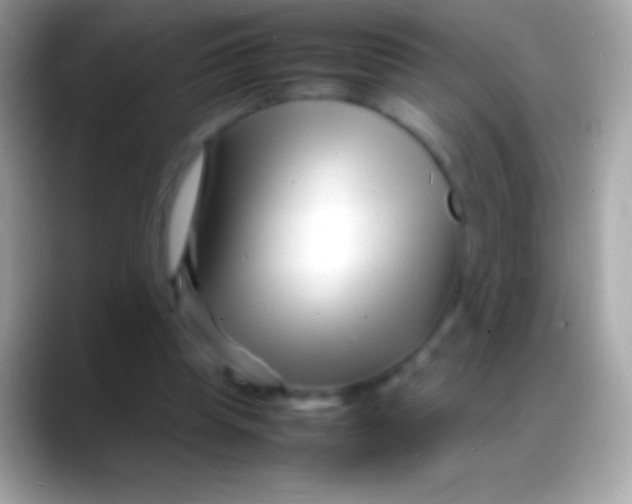 X0000088130345200706041323