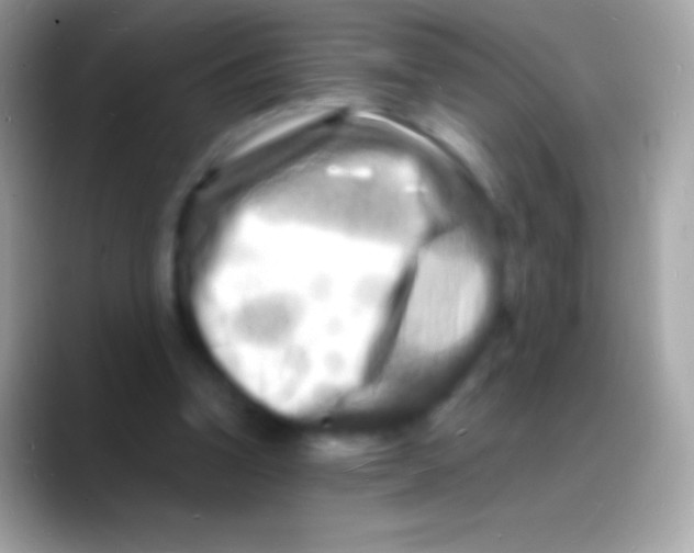 X0000088130346200706041323