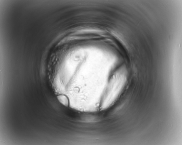 X0000088130347200706041323