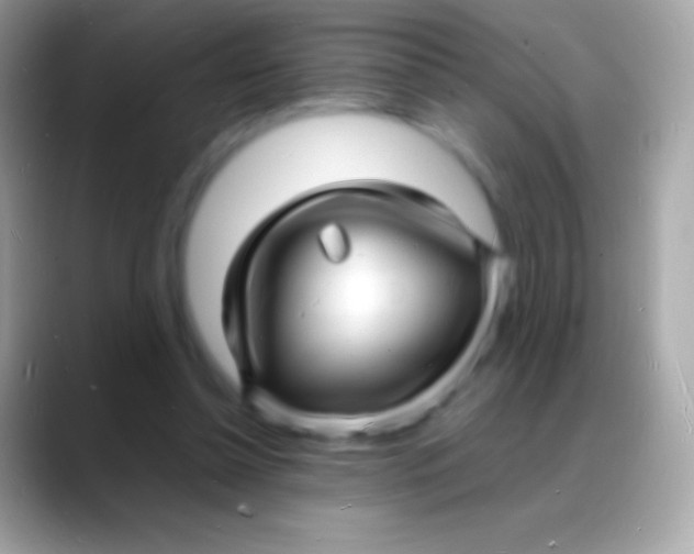 X0000088130348200706041323