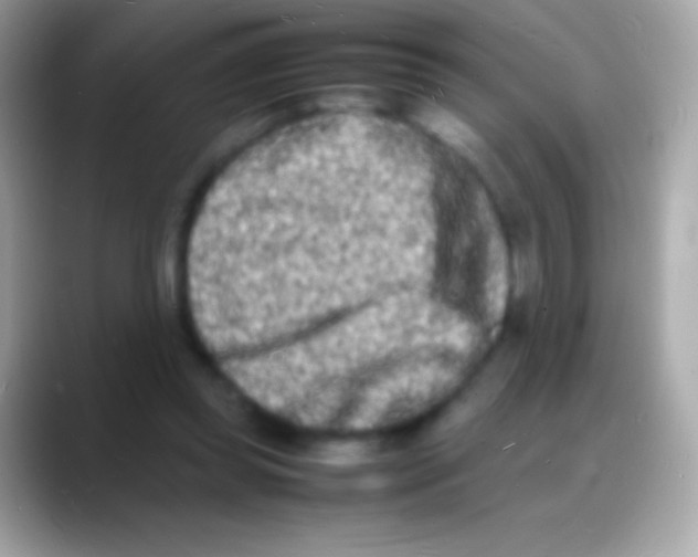 X0000088130349200706041323