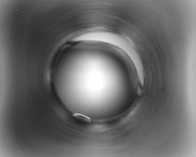 X0000088130350200706041323