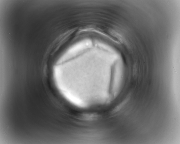 X0000088130351200706041323