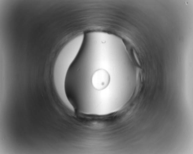 X0000088130352200706041323