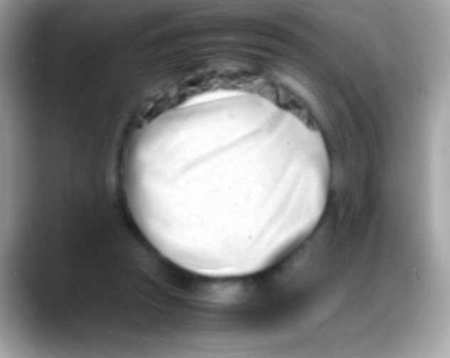 X0000088130353200706041323