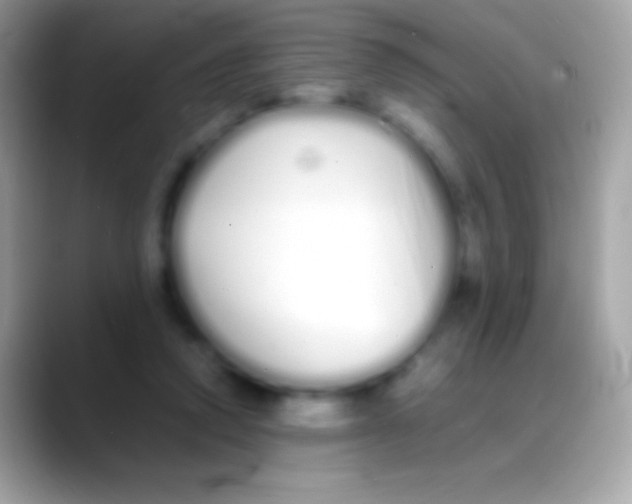 X0000088130354200706041323