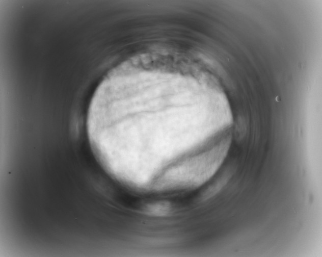 X0000088130355200706041323