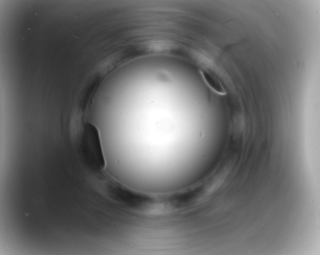 X0000088130356200706041323