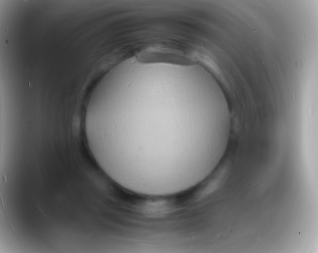 X0000088130357200706041323