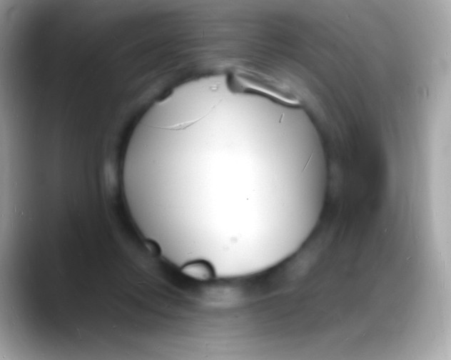 X0000088130358200706041323