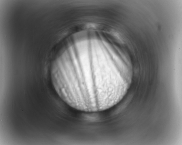 X0000088130359200706041323