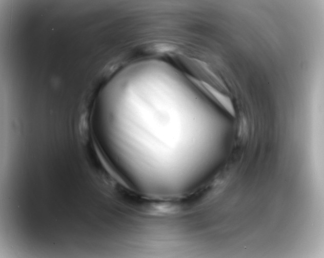 X0000088130360200706041323