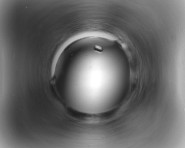 X0000088130362200706041323