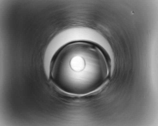 X0000088130364200706041323