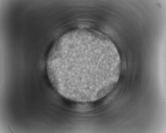 X0000088130367200706041323