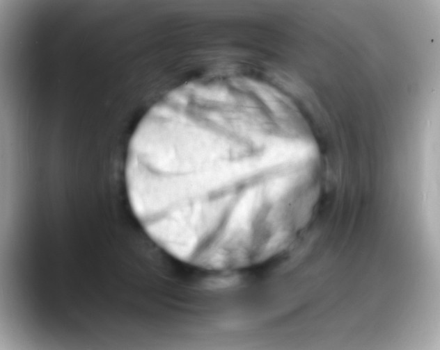 X0000088130369200706041323