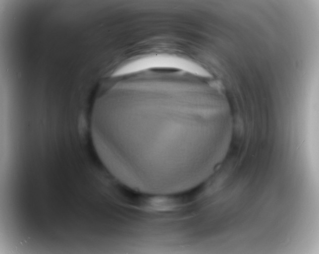 X0000088130371200706041323