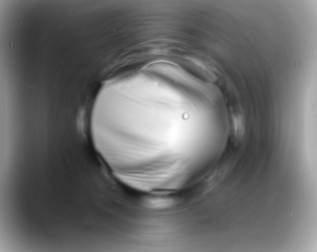 X0000088130372200706041323