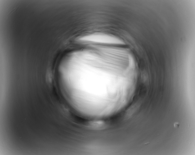 X0000088130374200706041323