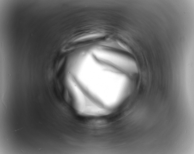 X0000088130375200706041323