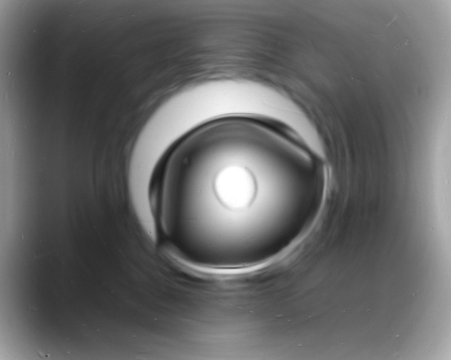 X0000088130376200706041323