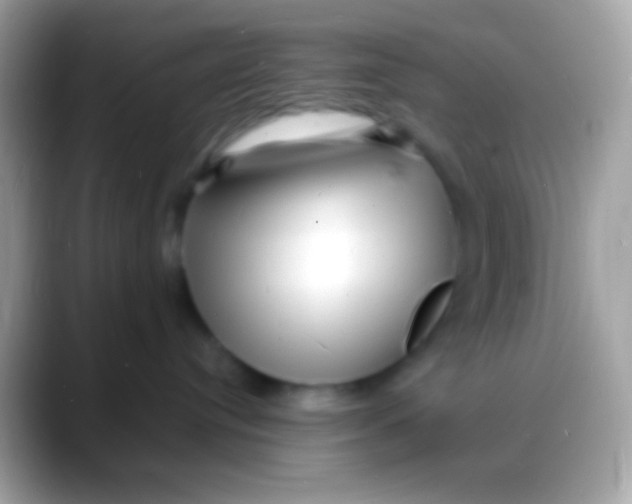 X0000088130384200706041323