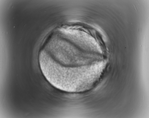 X0000088130385200706041323