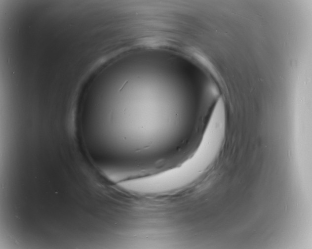 X0000088130387200706041323