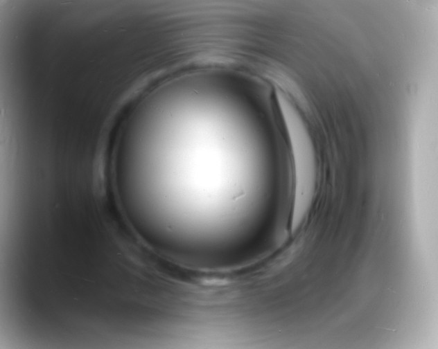 X0000088130388200706041323