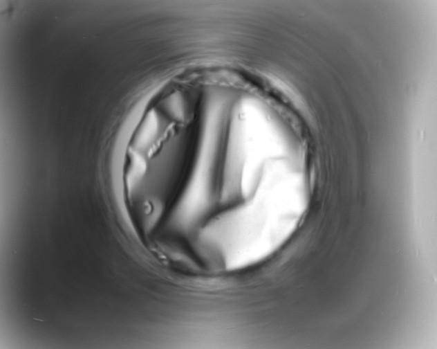 X0000088130389200706041323