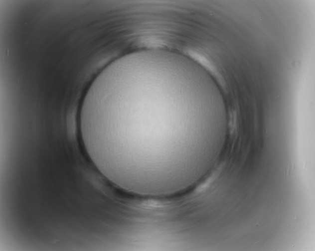 X0000088130390200706041323