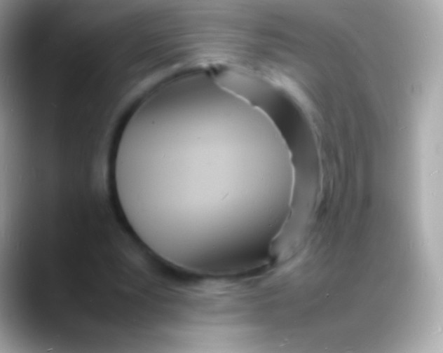 X0000088130391200706041323