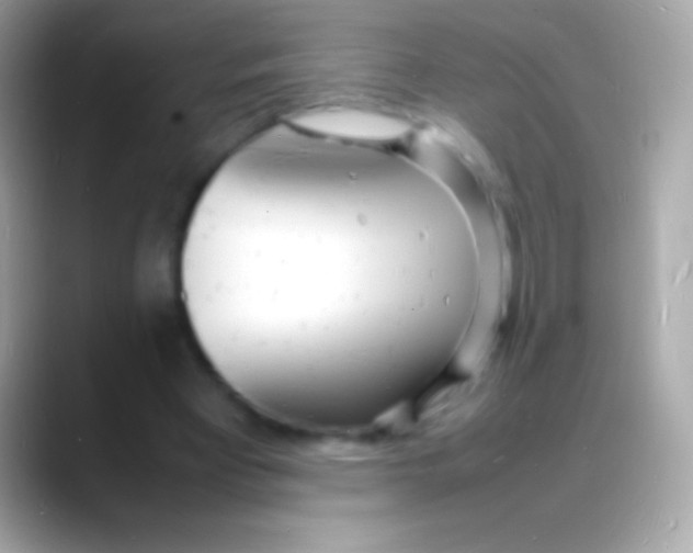 X0000088130393200706041323