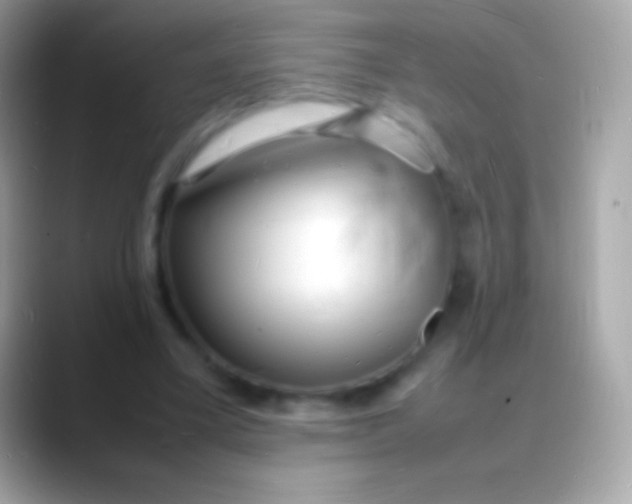 X0000088130395200706041323