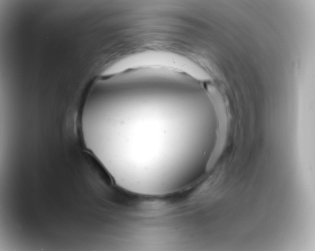 X0000088130397200706041323