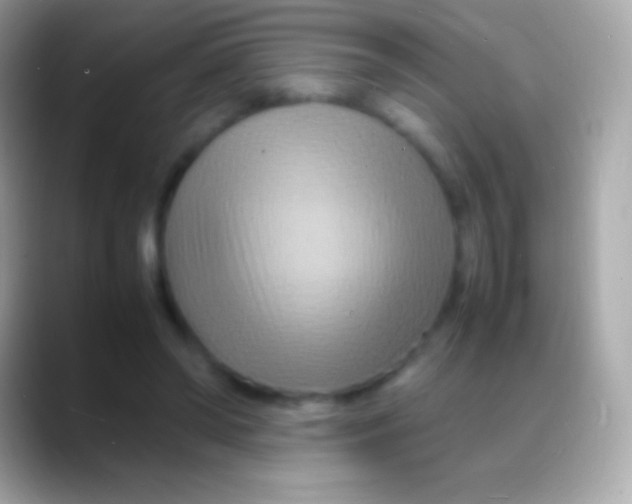 X0000088130398200706041323