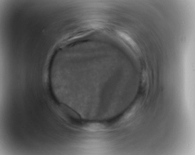 X0000088130399200706041323