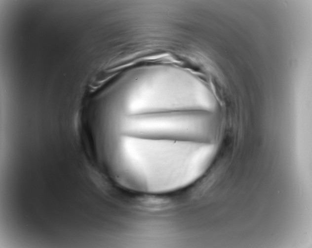 X0000088130401200706041323