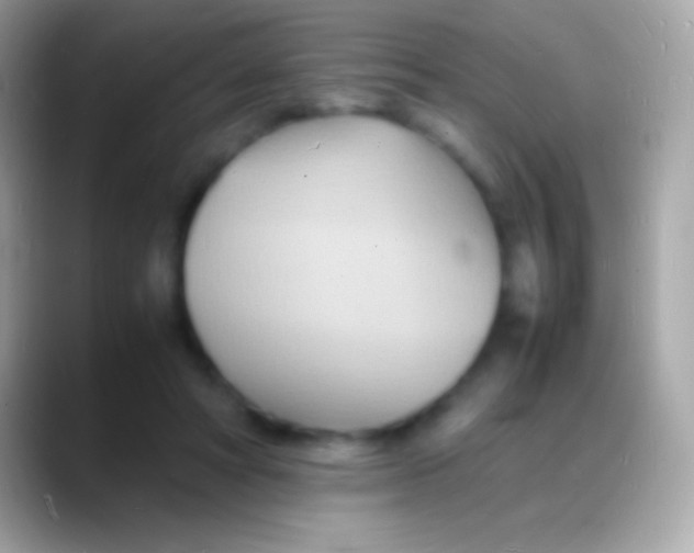 X0000088130402200706041323