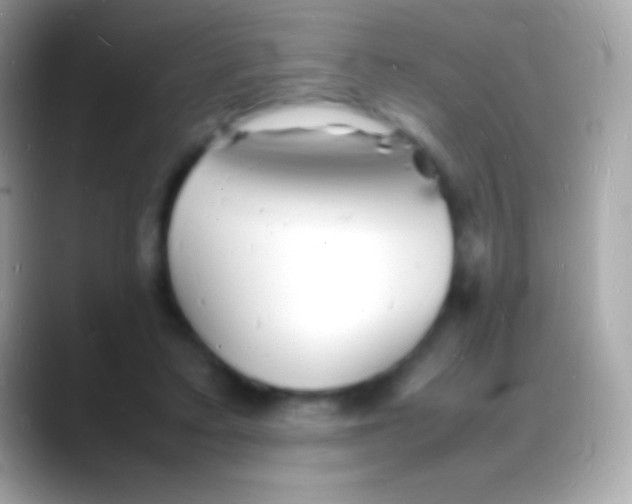 X0000088130403200706041323