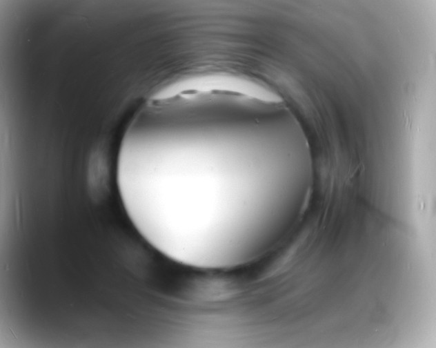 X0000088130404200706041323