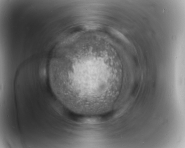 X0000088130405200706041323