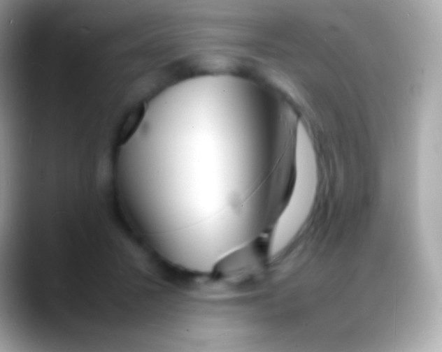 X0000088130407200706041323