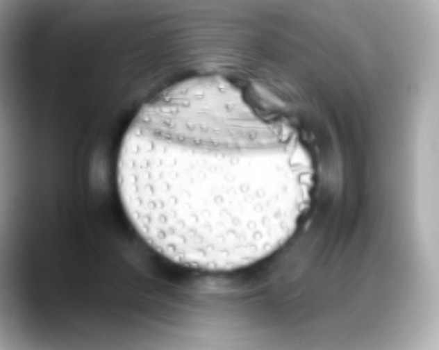 X0000088130408200706041323