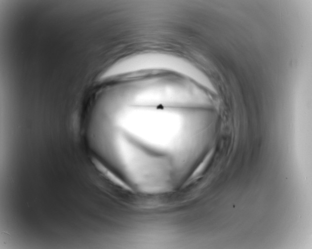 X0000088130409200706041323